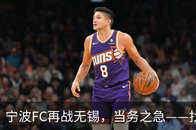 宁波FC再战无锡，当务之急——找到外援托莫维奇的使用说明书