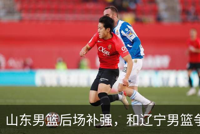 山东男篮后场补强，和辽宁男篮争抢20岁年轻后卫，潜力比王岚嵚大