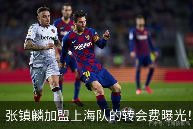 张镇麟加盟上海队的转会费曝光！