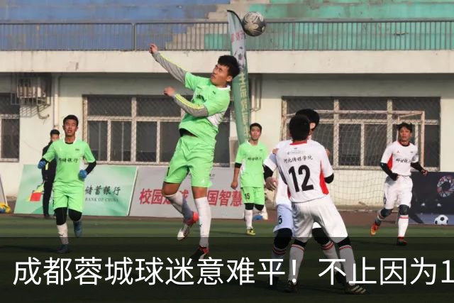 成都蓉城球迷意难平！不止因为1-1青岛西海岸，更多在于以下五点
