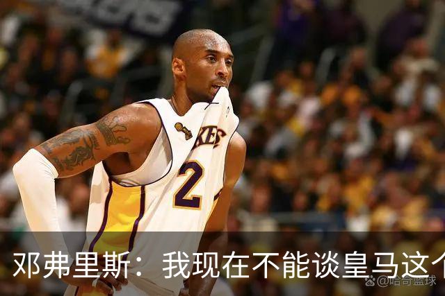 邓弗里斯：我现在不能谈皇马这个话题 国米时光令我骄傲